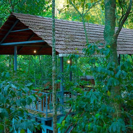 Snow Hills Resorts Thekkady Eksteriør billede