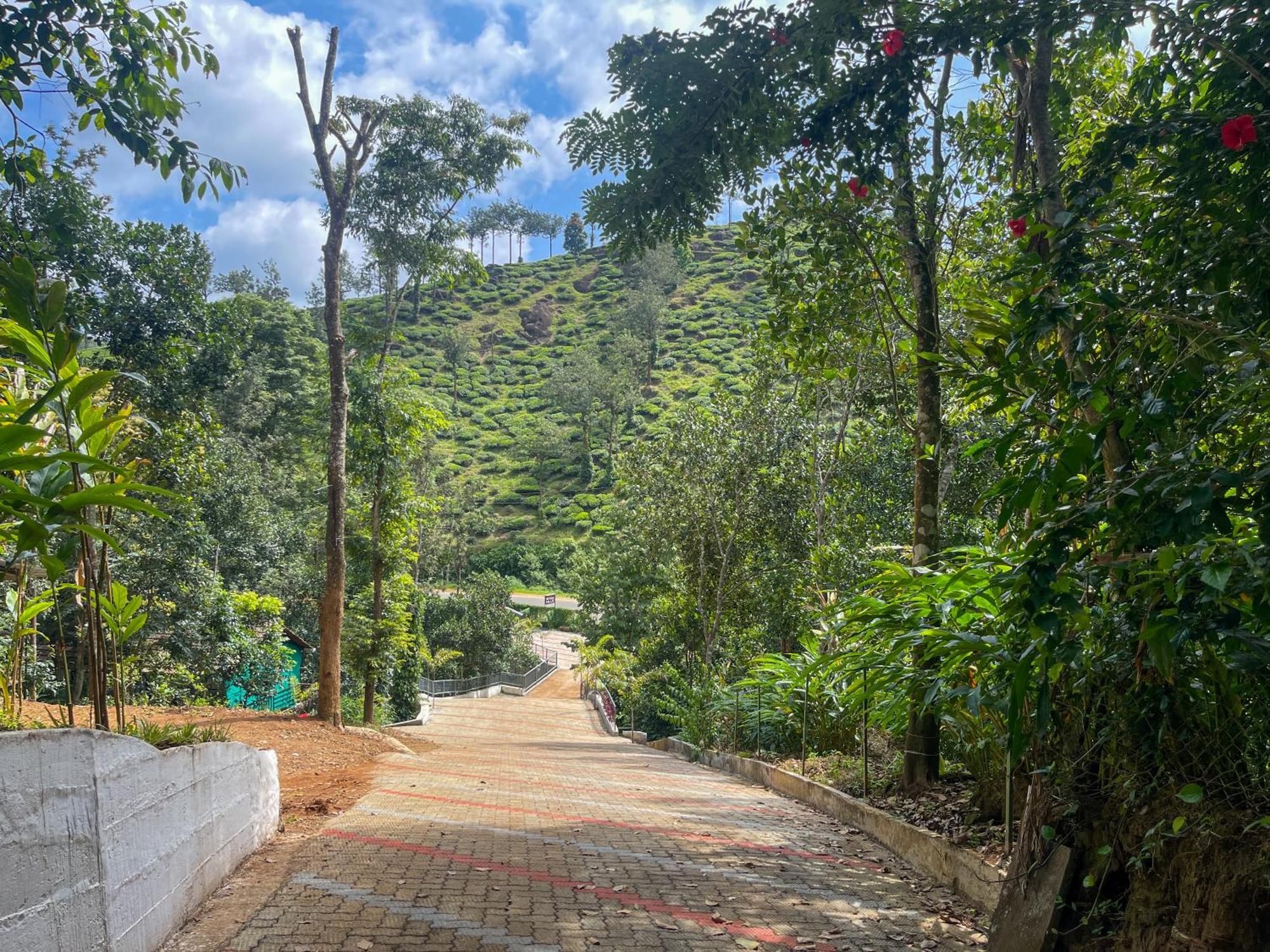 Snow Hills Resorts Thekkady Eksteriør billede