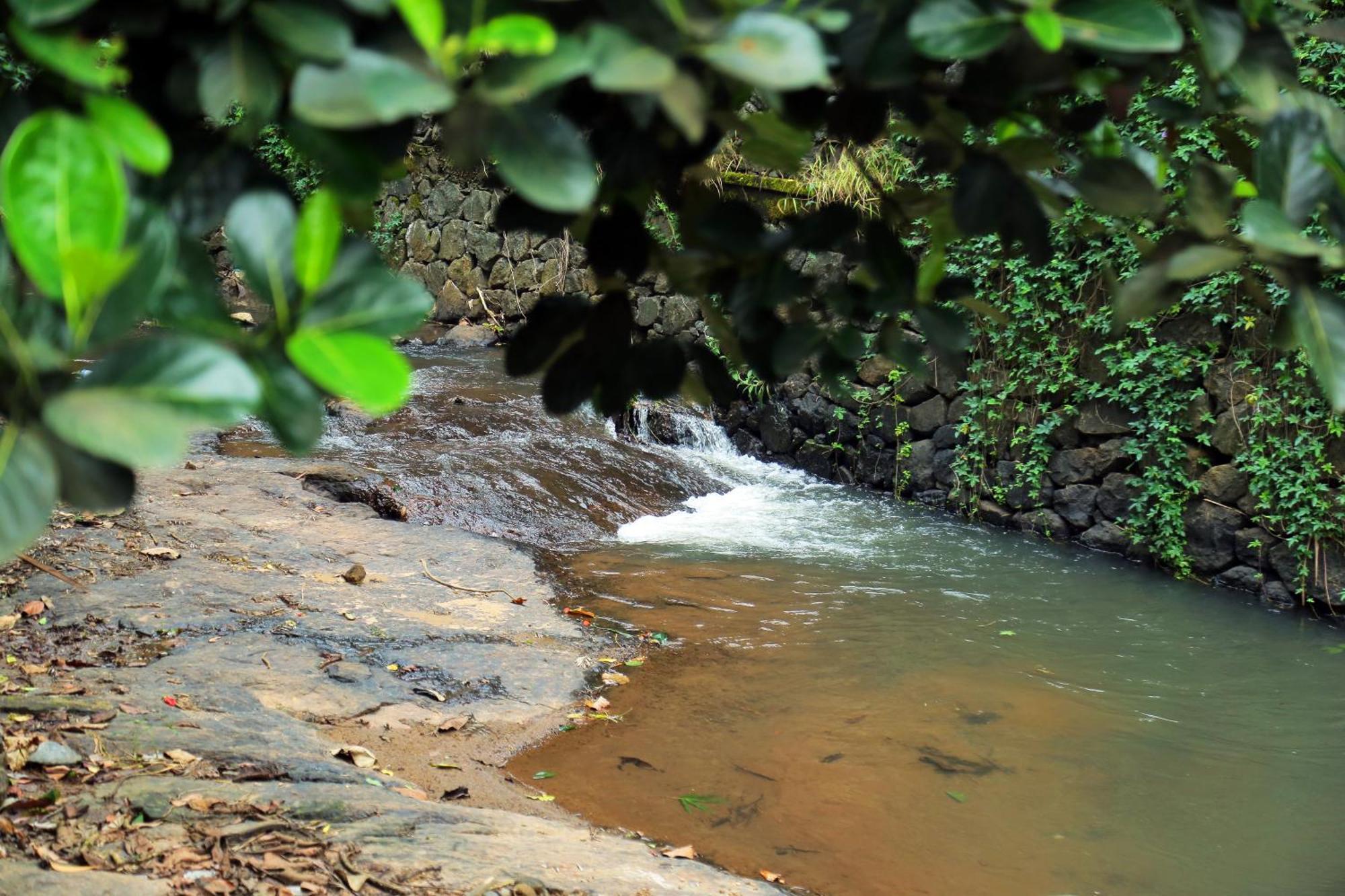 Snow Hills Resorts Thekkady Eksteriør billede